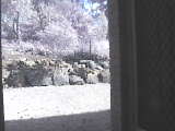 WebCam4
